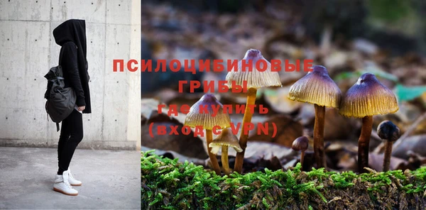 шишки Богородск