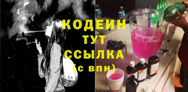 a pvp Бородино