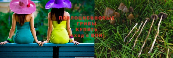 шишки Богородск