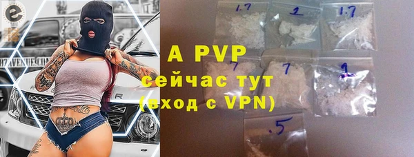 a pvp Бородино