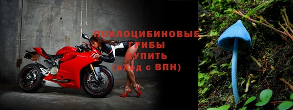 винт Богородицк